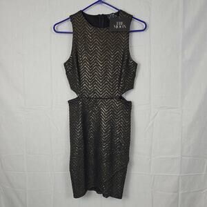 The Moon Womens Brown Black‎ Sleeveless Round Neck Sheath Dress Size Small
